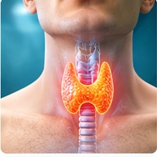 Thyroid Disorders illustration