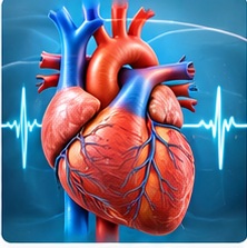 Heart Diseases illustration
